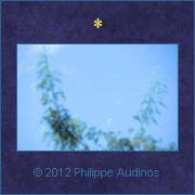 Image n41 - Clair de lune
