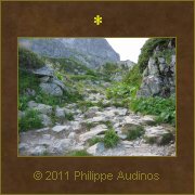 Image n26 - Le bon chemin...