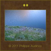 Image n52 - Au bord du chemin