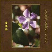 Image n34 - Au lever du soleil