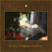 Image n13 - Des vgtaux flous