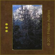Image n40 - Sans lgende