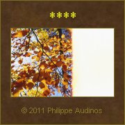 Image n78 - Feuillages illumins