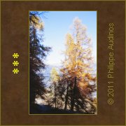 Image n98 - Mlzes dcolors par la lumire